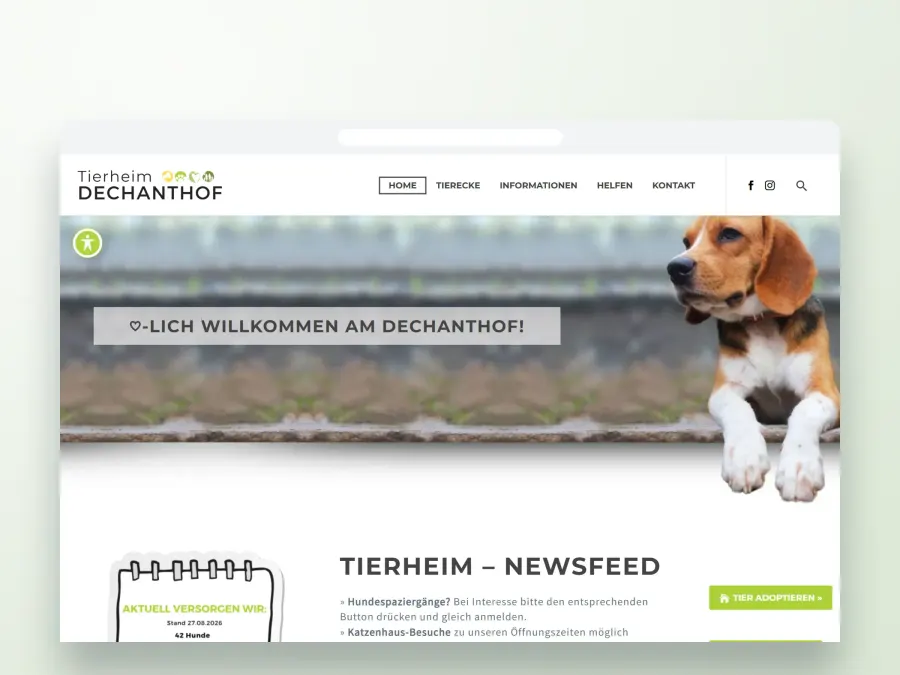 Tierheim Dechanthof